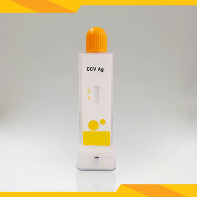 Kit de detecção de coronavírus canino veterinário Kit de teste de diagnóstico rápido Copo conveniente