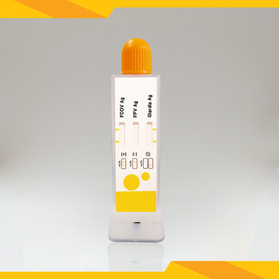 Kit de teste de antígeno fecal de gato para FCoV+FPV+Giardia Lamblia limpo e livre de poluição