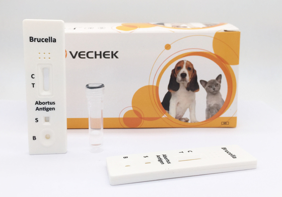 Teste bovino do antígeno da Brucella de 10 minutos com qualitativo e o preliminar